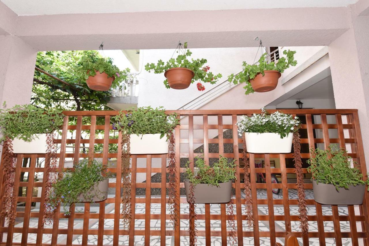 Guest House Zec Budva Exterior photo